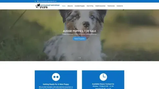 Screenshot of