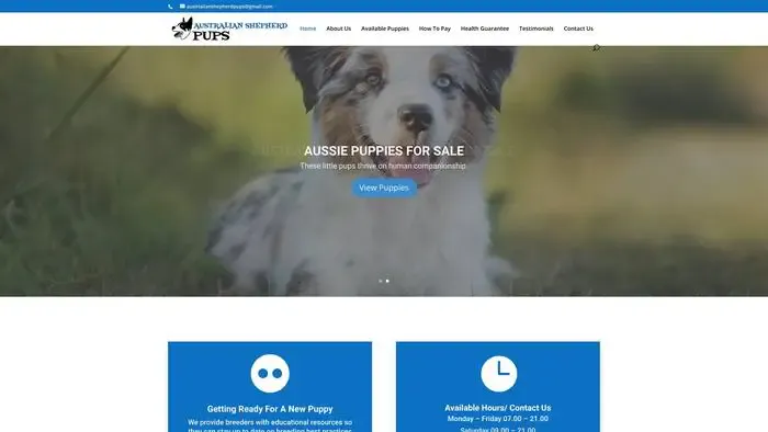 Screenshot of