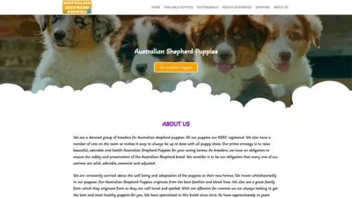 Screenshot of