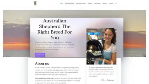 Screenshot of