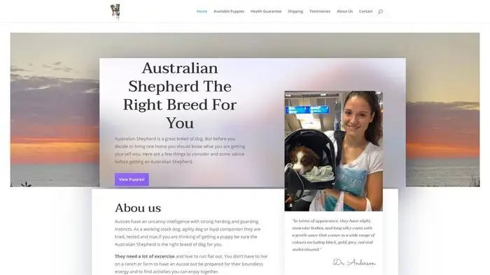 Screenshot of