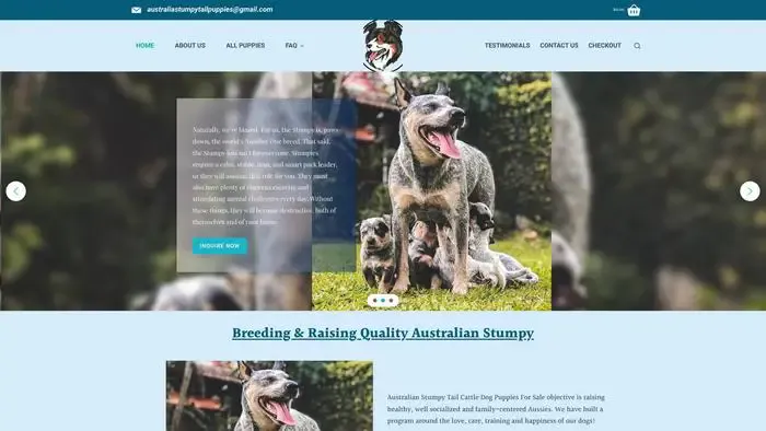 Screenshot of
