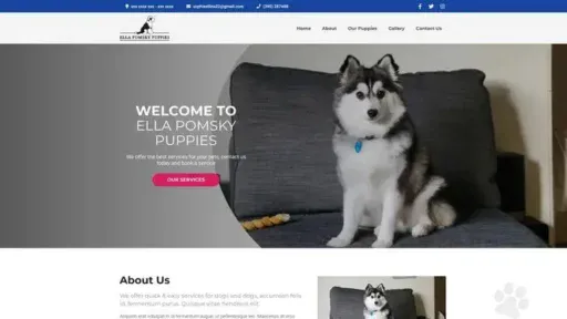 Screenshot of