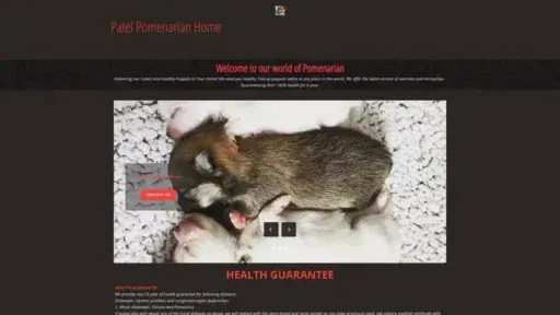 Screenshot of