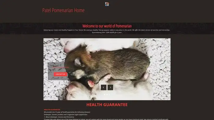 Screenshot of