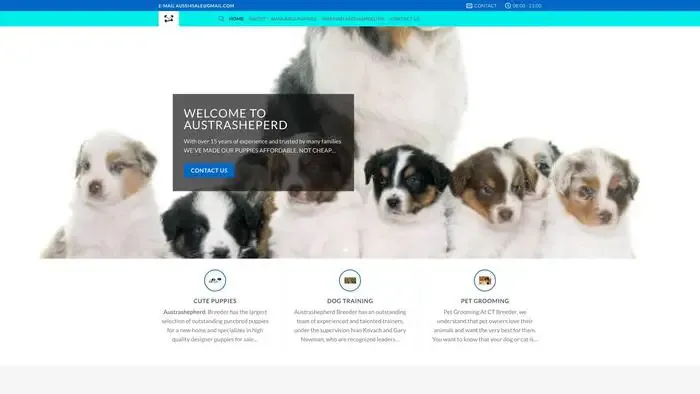 Screenshot of