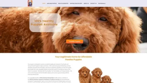 Screenshot of