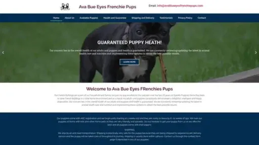 Screenshot of