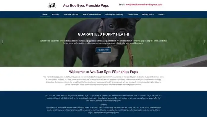 Screenshot of