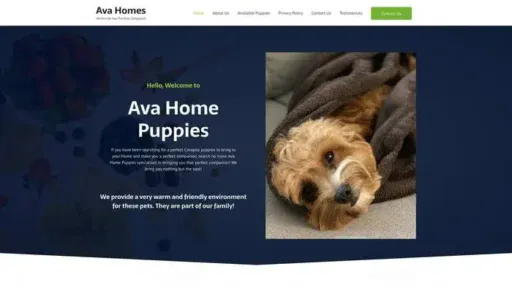 Screenshot of