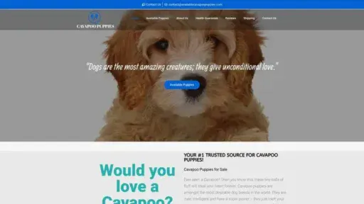Screenshot of