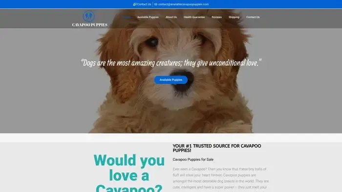 Screenshot of