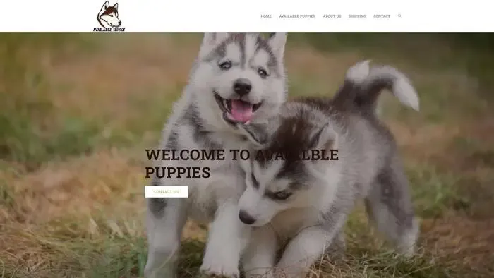 Screenshot of