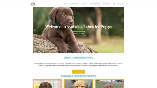 Screenshot of