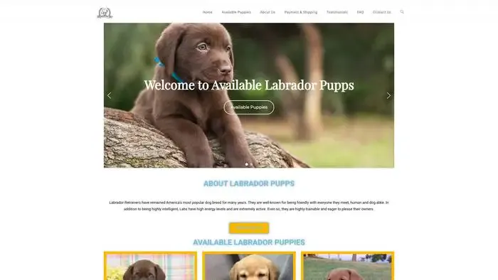 Screenshot of