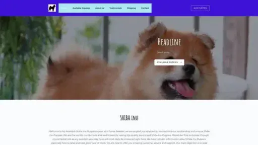 Screenshot of