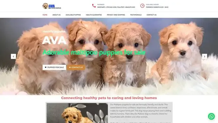 Screenshot of