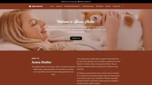 Screenshot of