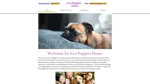 Screenshot of