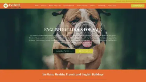 Screenshot of