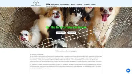 Screenshot of