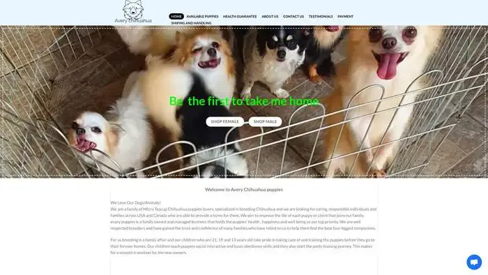 Screenshot of