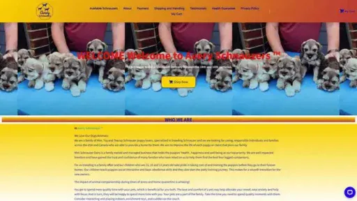 Screenshot of
