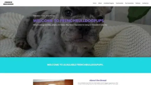 Screenshot of||