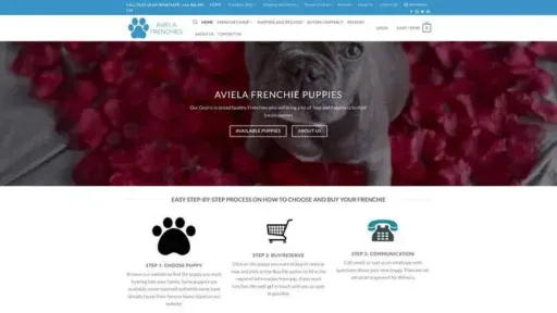 Screenshot of