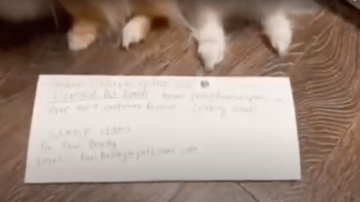Avoiding Online Puppy Scams