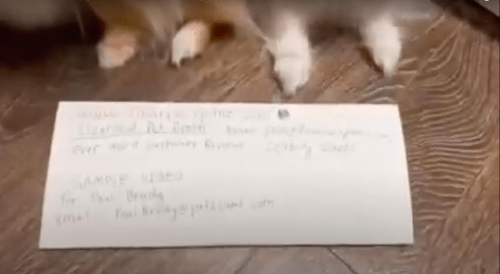 Avoiding Online Puppy Scams