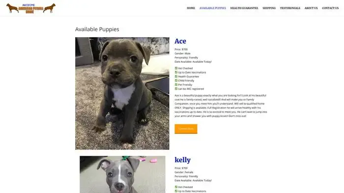 Screenshot of