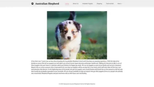 Screenshot of