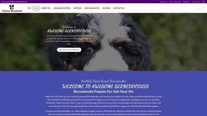 Screenshot of