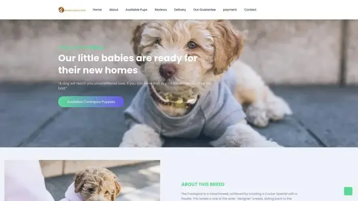 Screenshot of