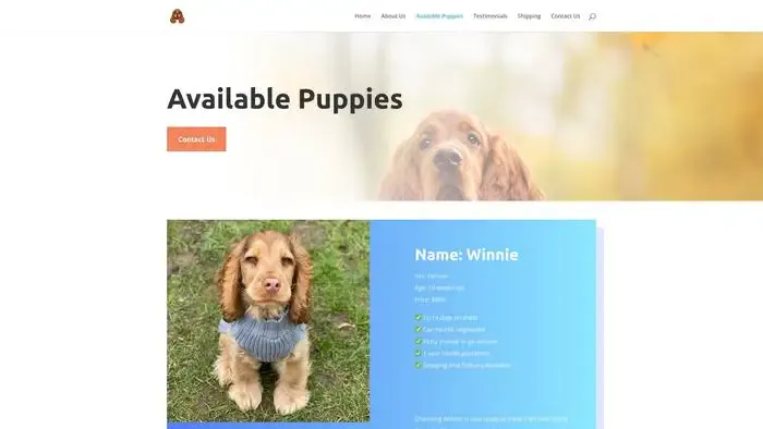 Screenshot of