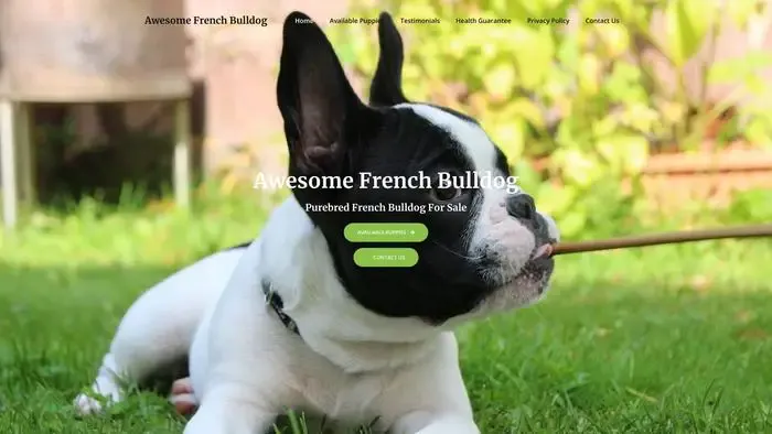 Screenshot of