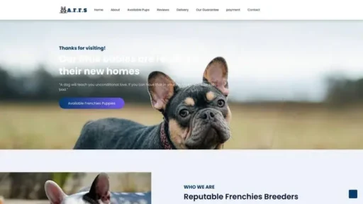 Screenshot of