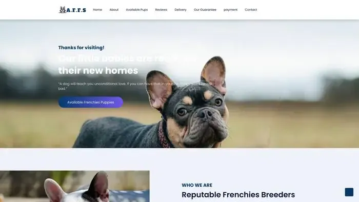 Screenshot of