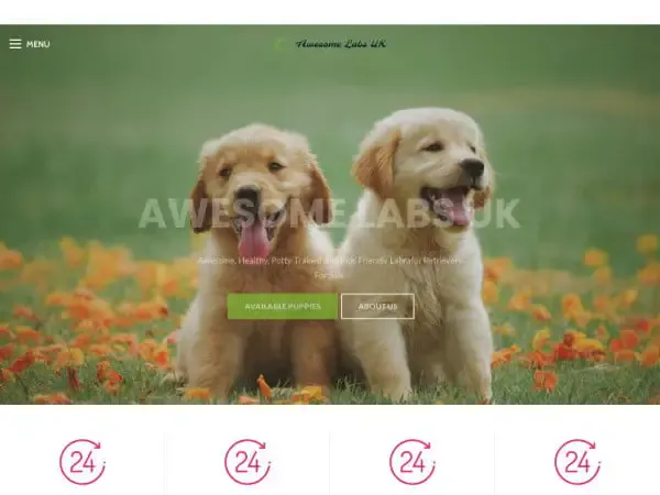 Screenshot of