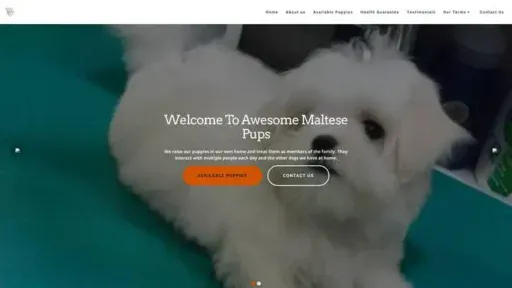 Screenshot of