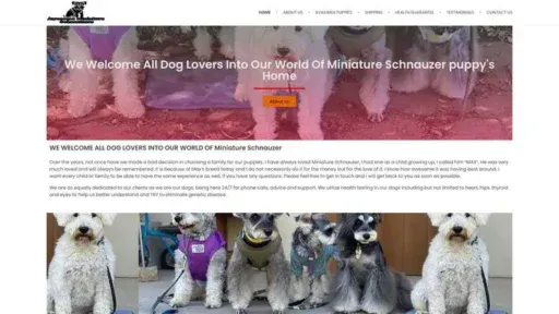 Screenshot of