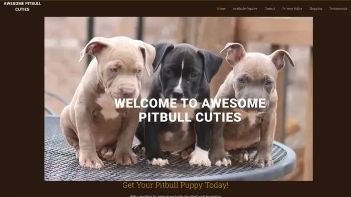 Screenshot of