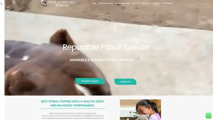 Screenshot of