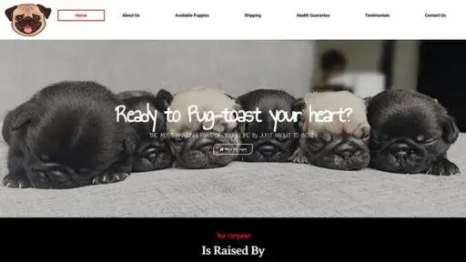 Screenshot of