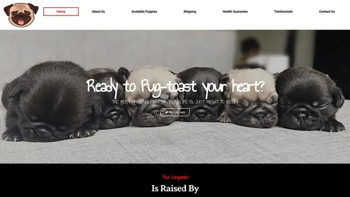 Screenshot of