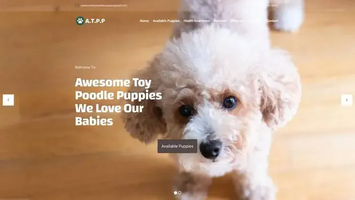 Screenshot of