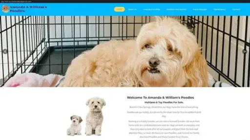 Screenshot of