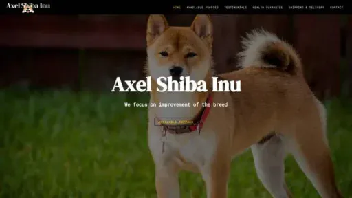 Screenshot of