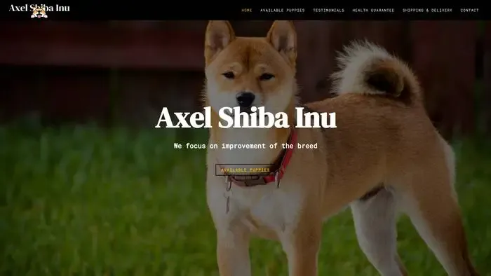 Screenshot of
